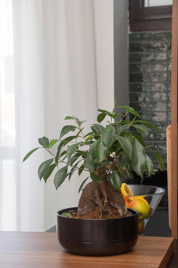 Appartamento Artisan'S Dwelling Belgrado Esterno foto